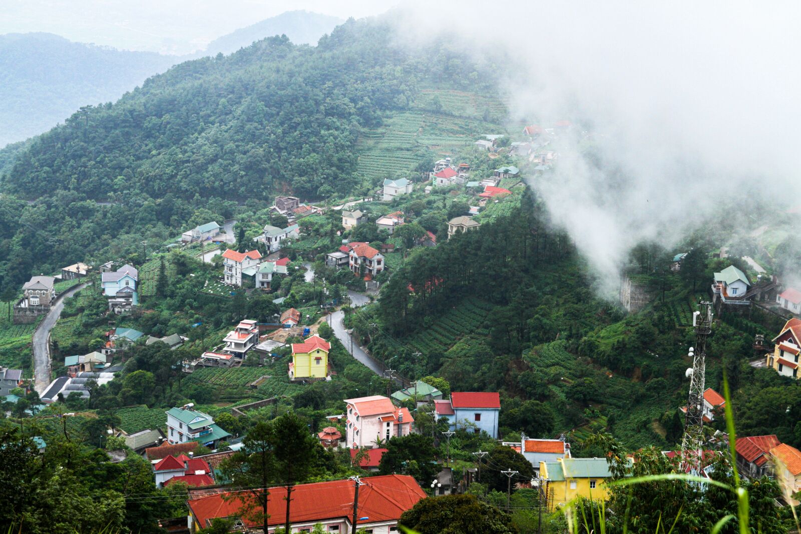 Canon EOS 7D sample photo. Low clouds, forest trees photography