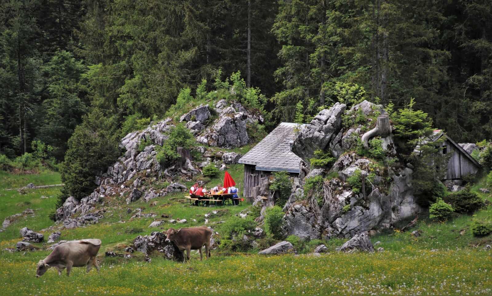 Canon EOS 80D sample photo. Meadow, hat, rocks photography