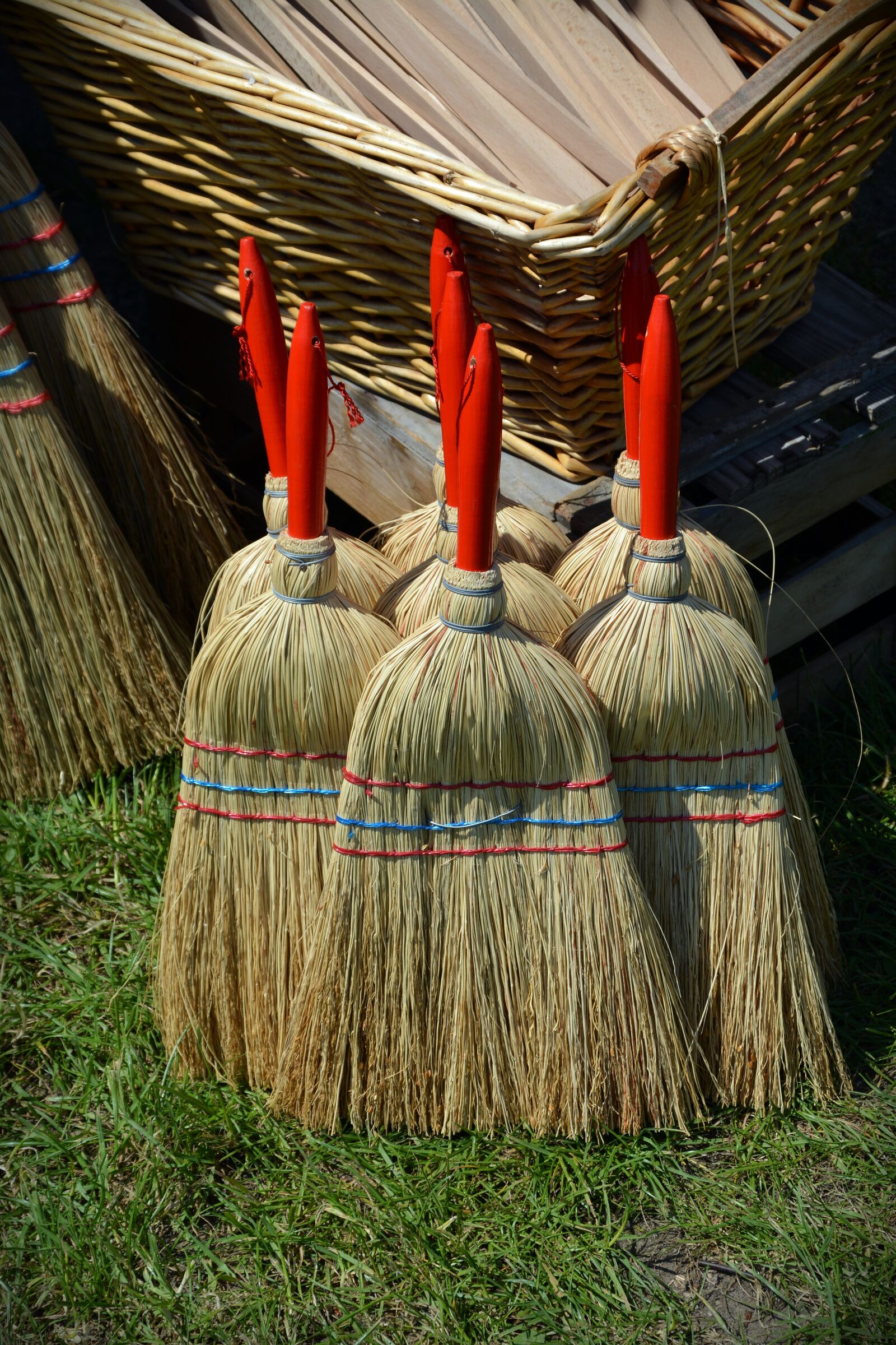 Nikon D5200 sample photo. Broom, hand brush, clean photography