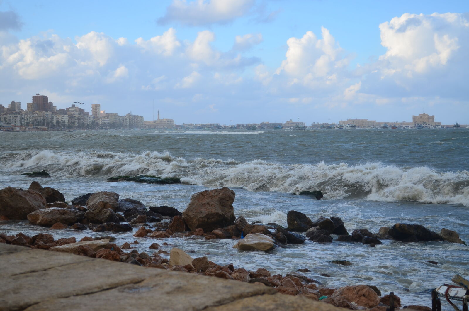 Nikon D5100 sample photo