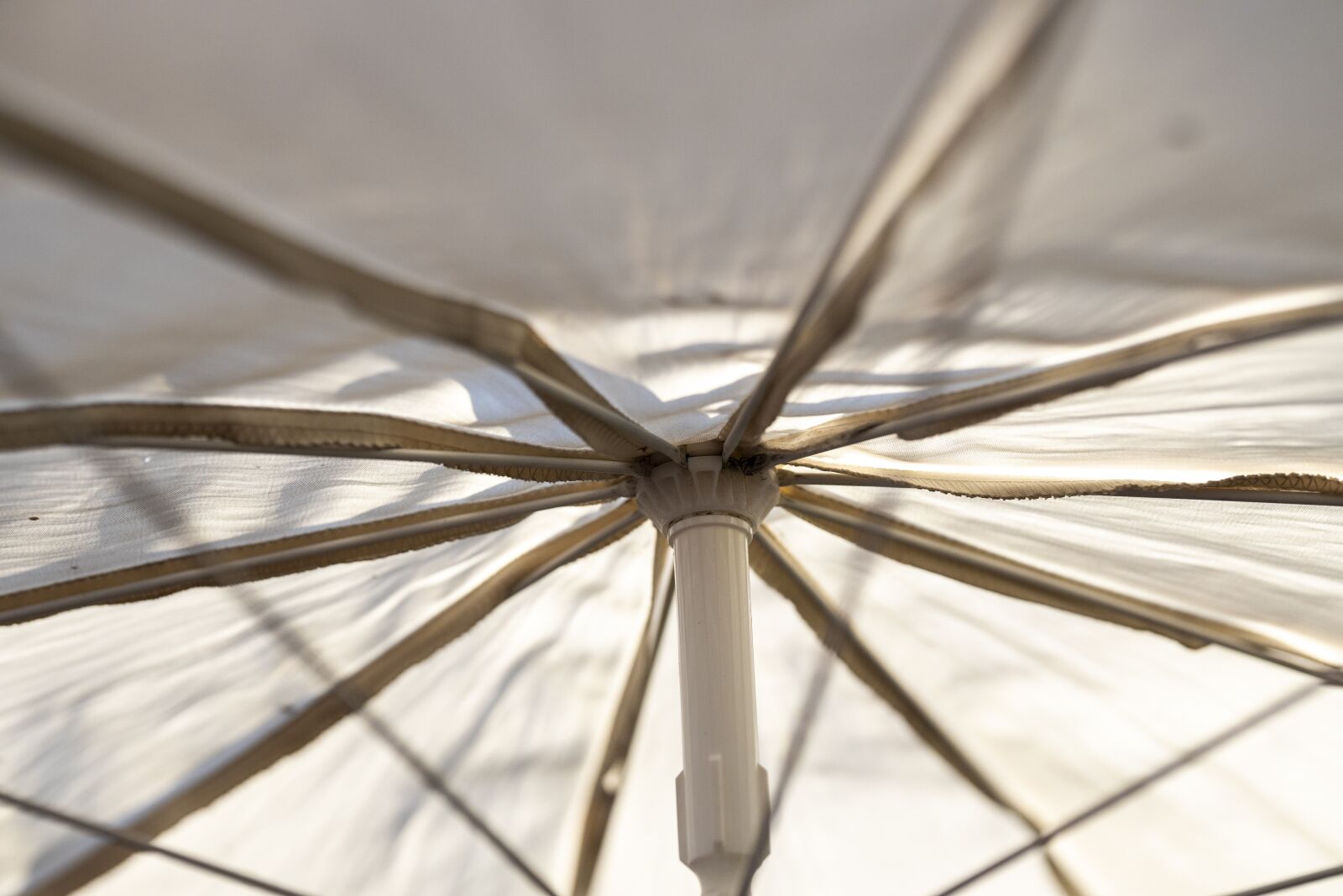 Canon RF 85mm F1.2L USM sample photo. Abstract, background, macro photography