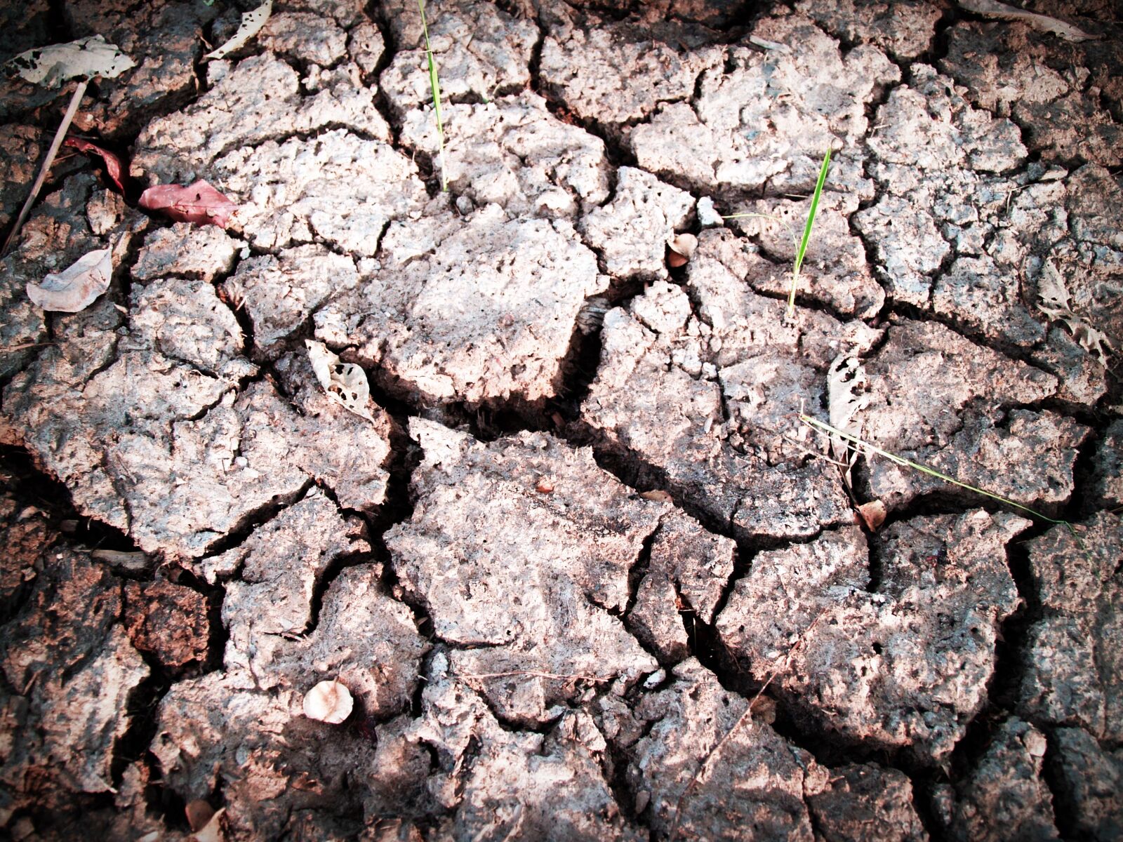 Olympus E-300 (EVOLT E-300) sample photo. Clay, close, up, cracks photography