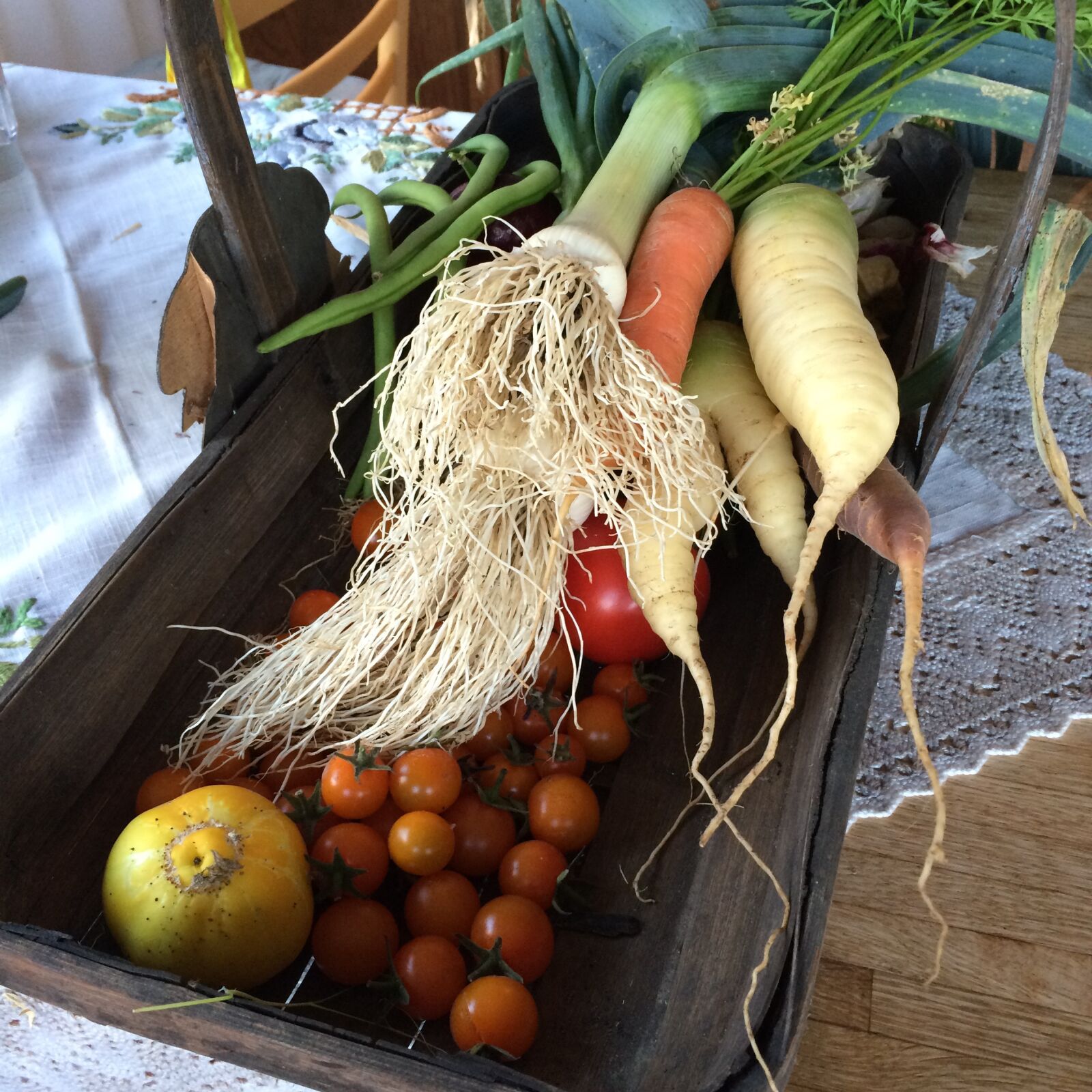 iPhone 5s back camera 4.15mm f/2.2 sample photo. Fresh, vegetable, garden, vegetables photography