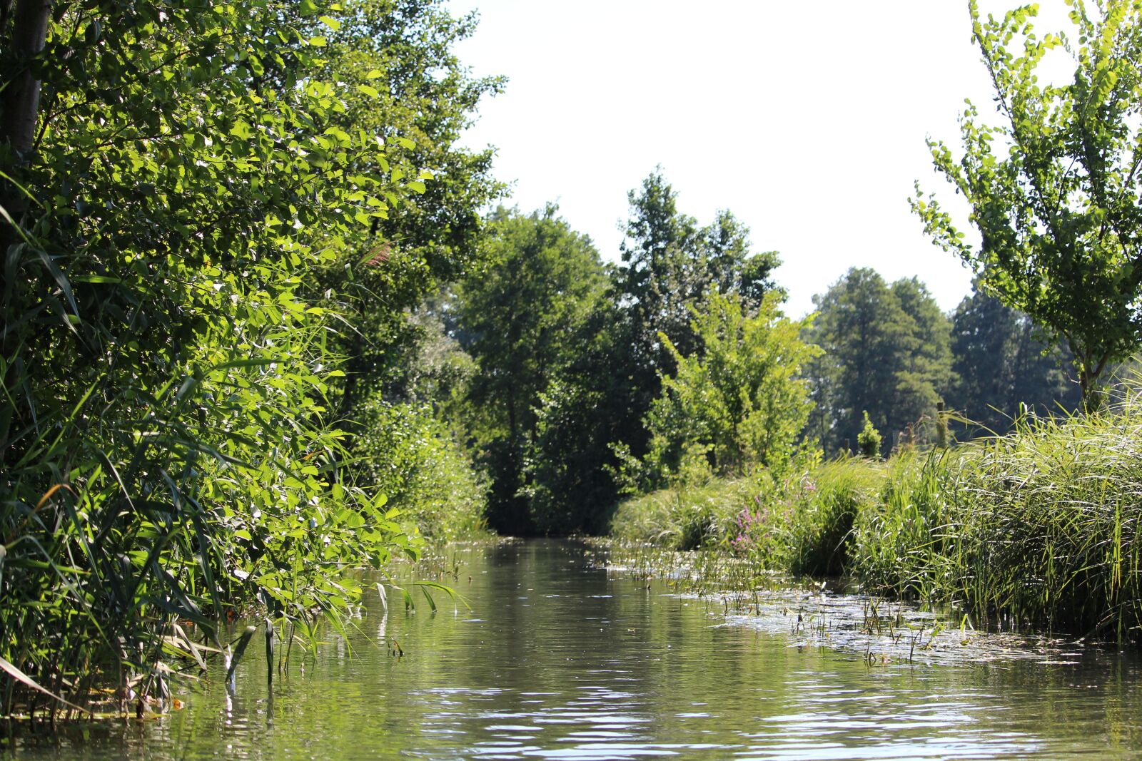 Canon EF-S 55-250mm F4-5.6 IS STM sample photo. Water, spreewald, landscape photography