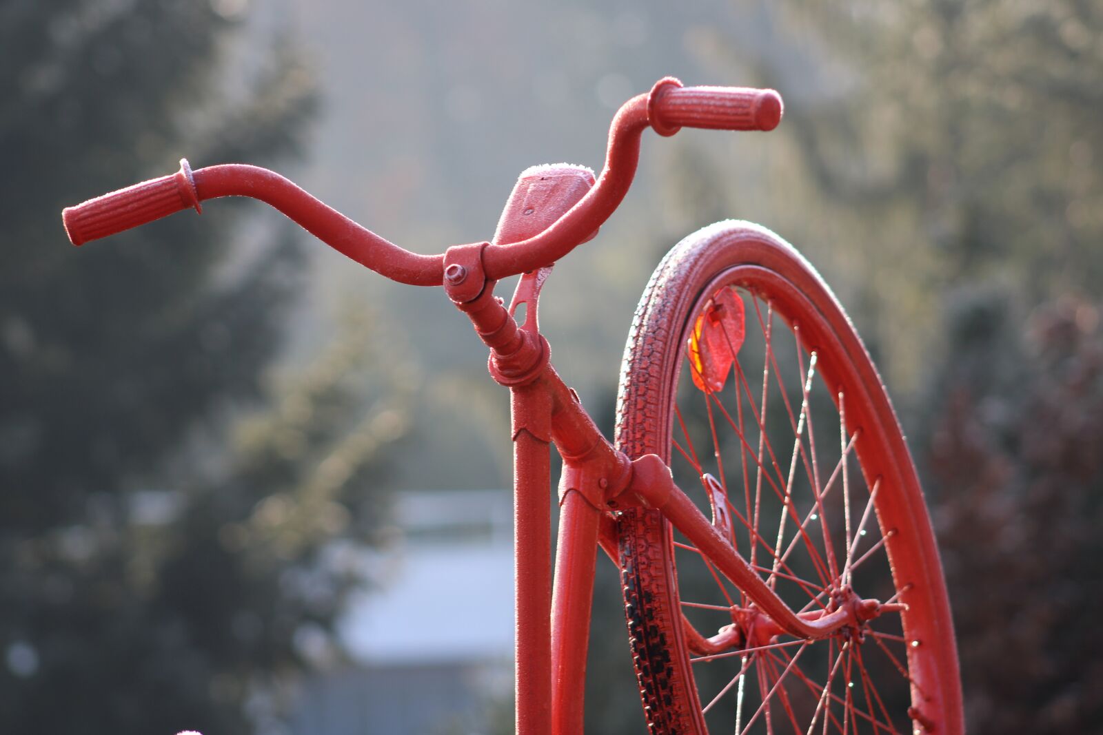 Canon EOS 2000D (EOS Rebel T7 / EOS Kiss X90 / EOS 1500D) sample photo. Velo, bike, saddle photography