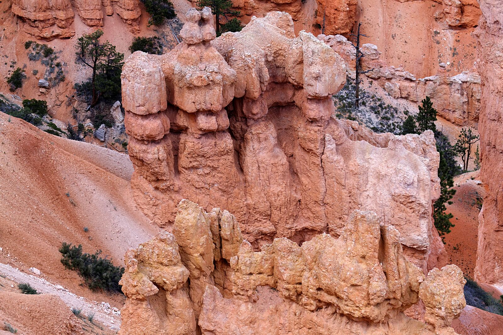 Canon EOS 7D sample photo. Bryce canyon, paunsaugunt plateau photography
