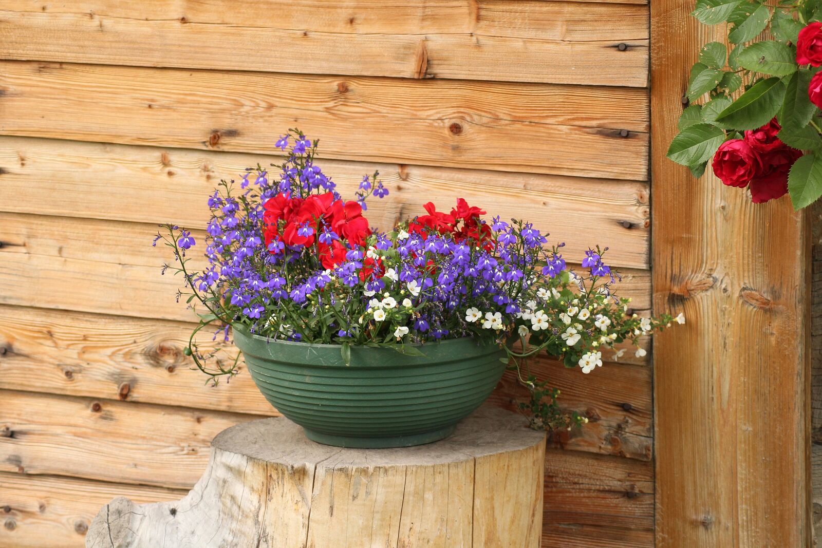 Canon EOS 1200D (EOS Rebel T5 / EOS Kiss X70 / EOS Hi) sample photo. Flowers, bowl, decoration photography