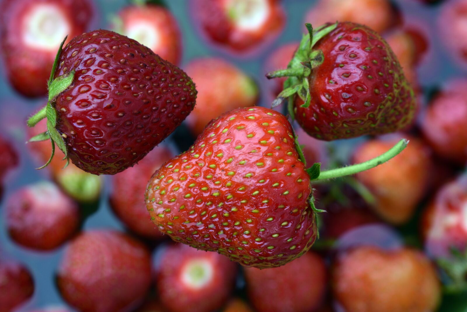 Nikon D3400 sample photo. Strawberries, delicious, food photography