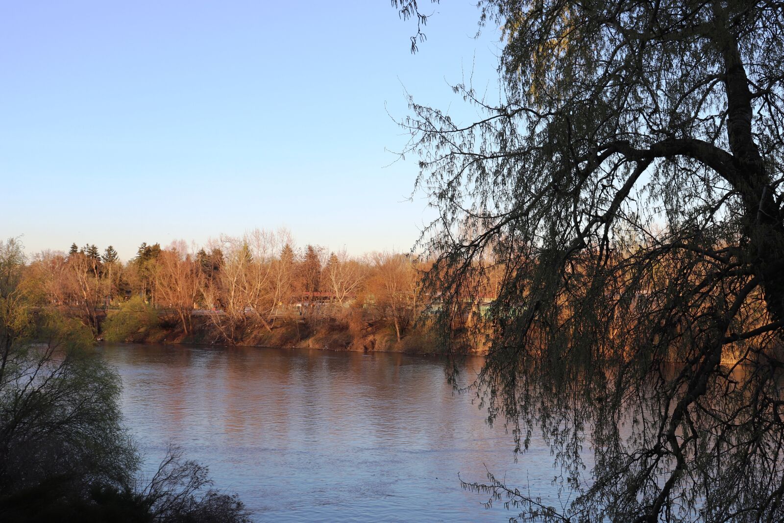 Canon EOS 200D (EOS Rebel SL2 / EOS Kiss X9) sample photo. River, mures, arad photography