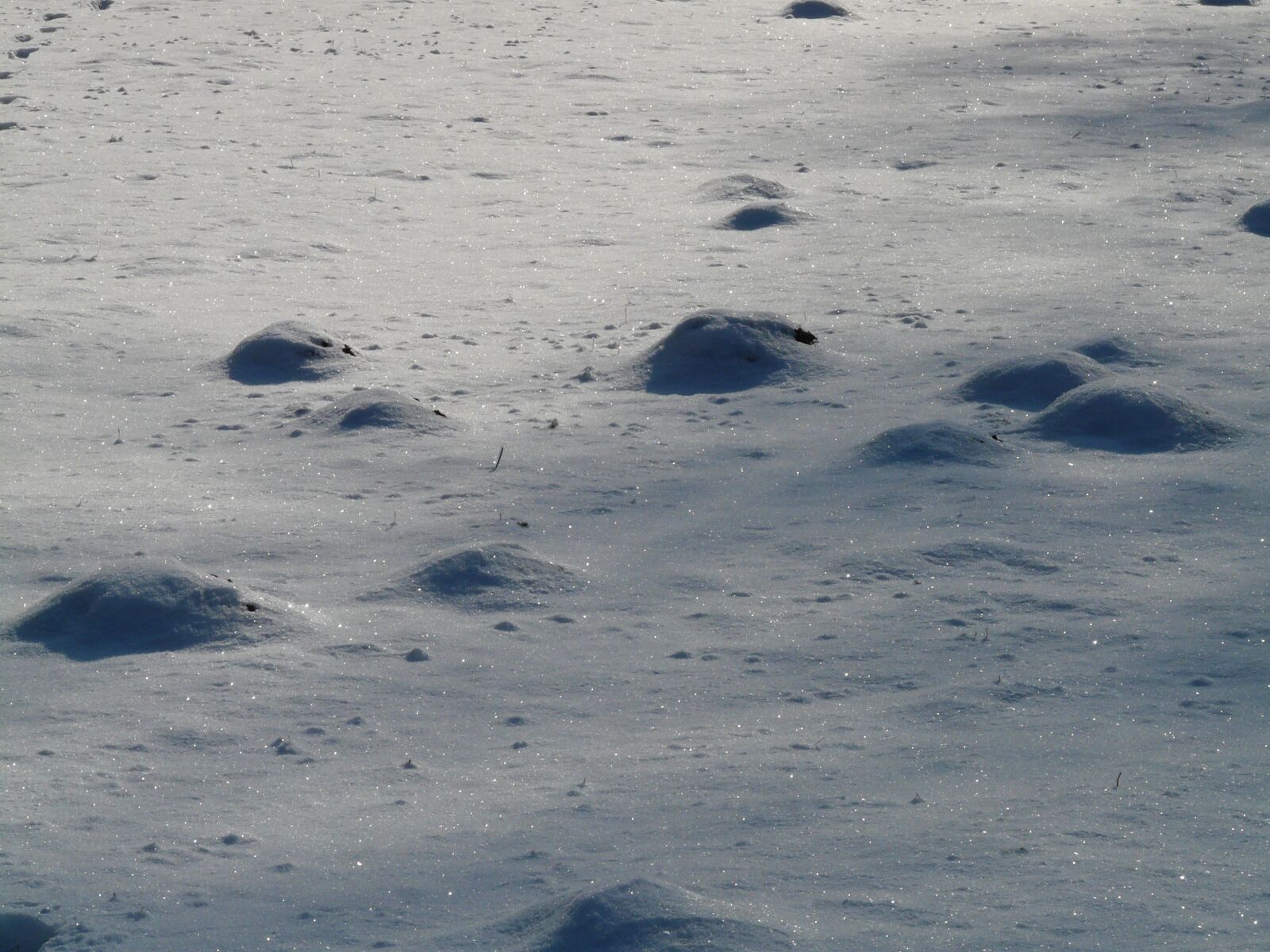 Panasonic DMC-FZ18 sample photo. Molehill, wintry, cold photography