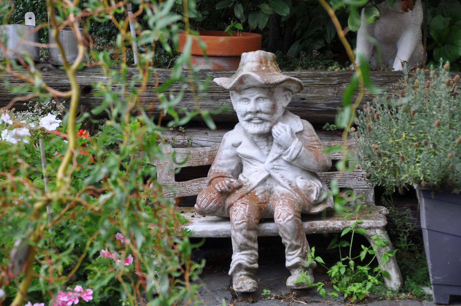 Nikon D90 sample photo. Grandfather, guardian of the photography