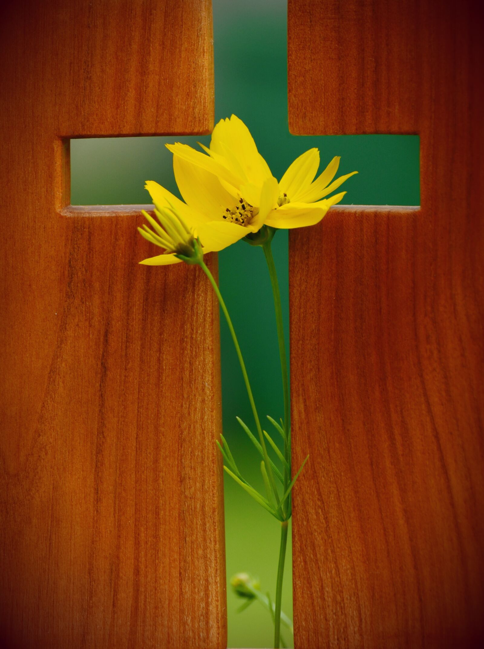 Nikon D5100 sample photo. Cross, symbol, christian faith photography