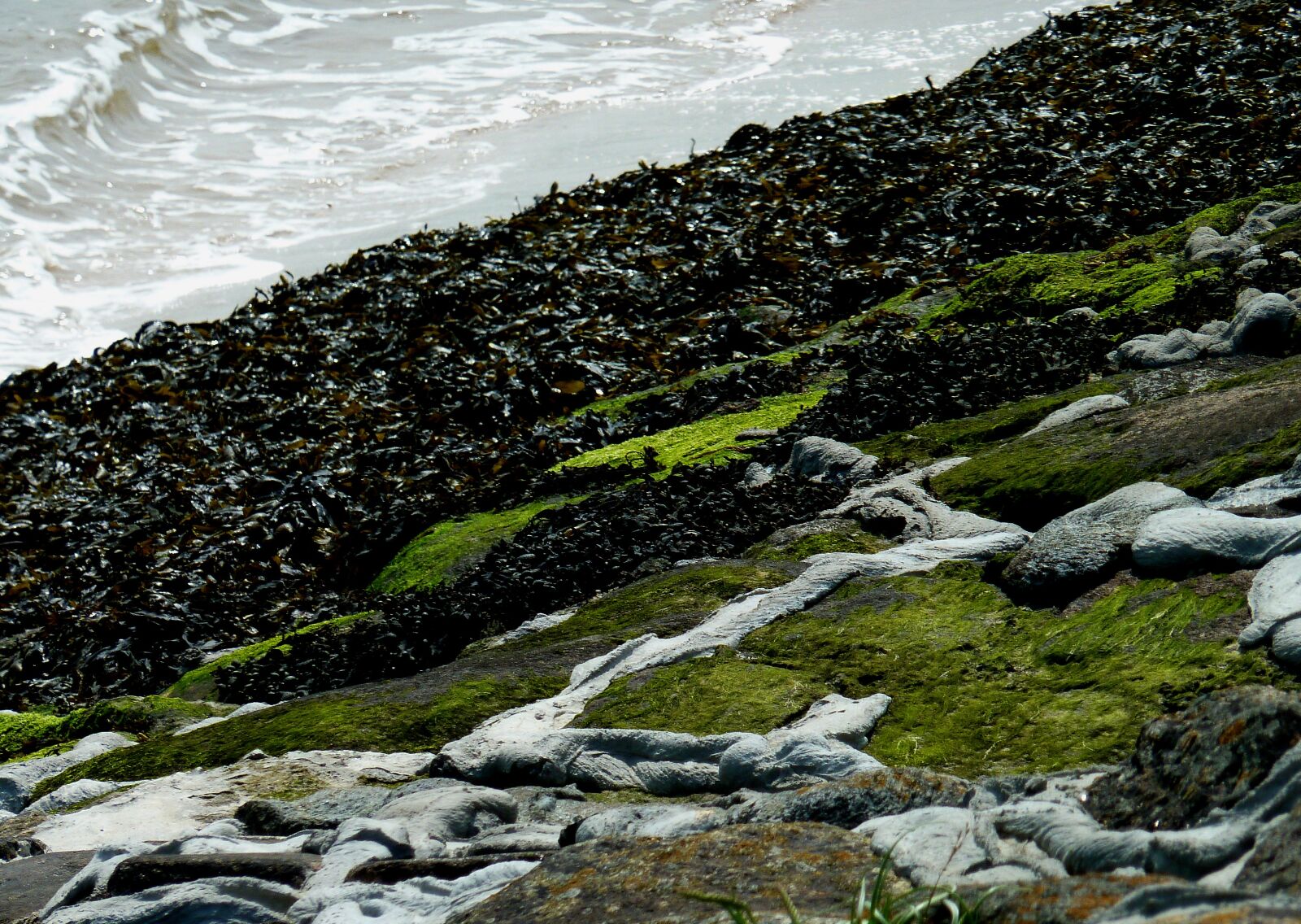 Panasonic DMC-TZ7 sample photo. Coast, beach, sea photography
