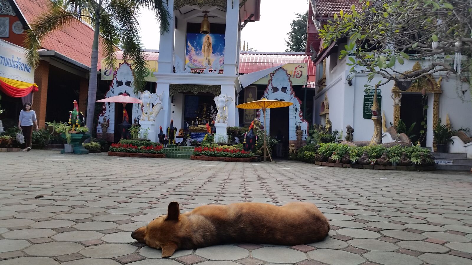 Samsung Galaxy S5 sample photo. Buddhist, temple, chiang, mai photography