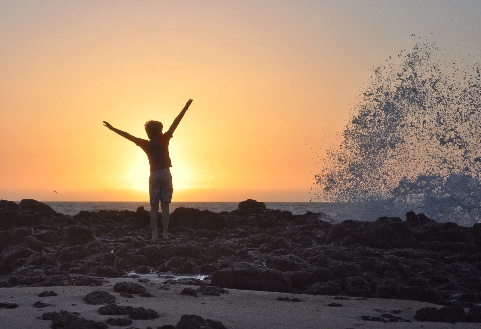 Nikon D90 sample photo. Sunset, beach, water photography