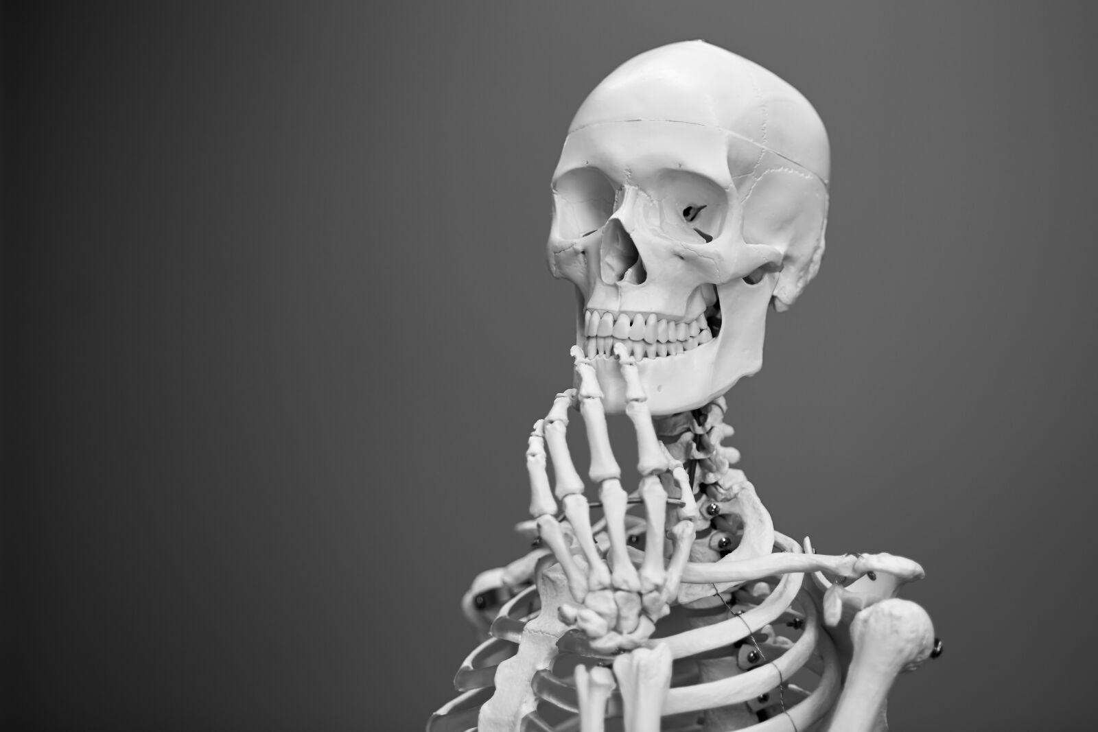 Canon EOS 5D Mark III sample photo. Skeleton, anatomy, bones photography