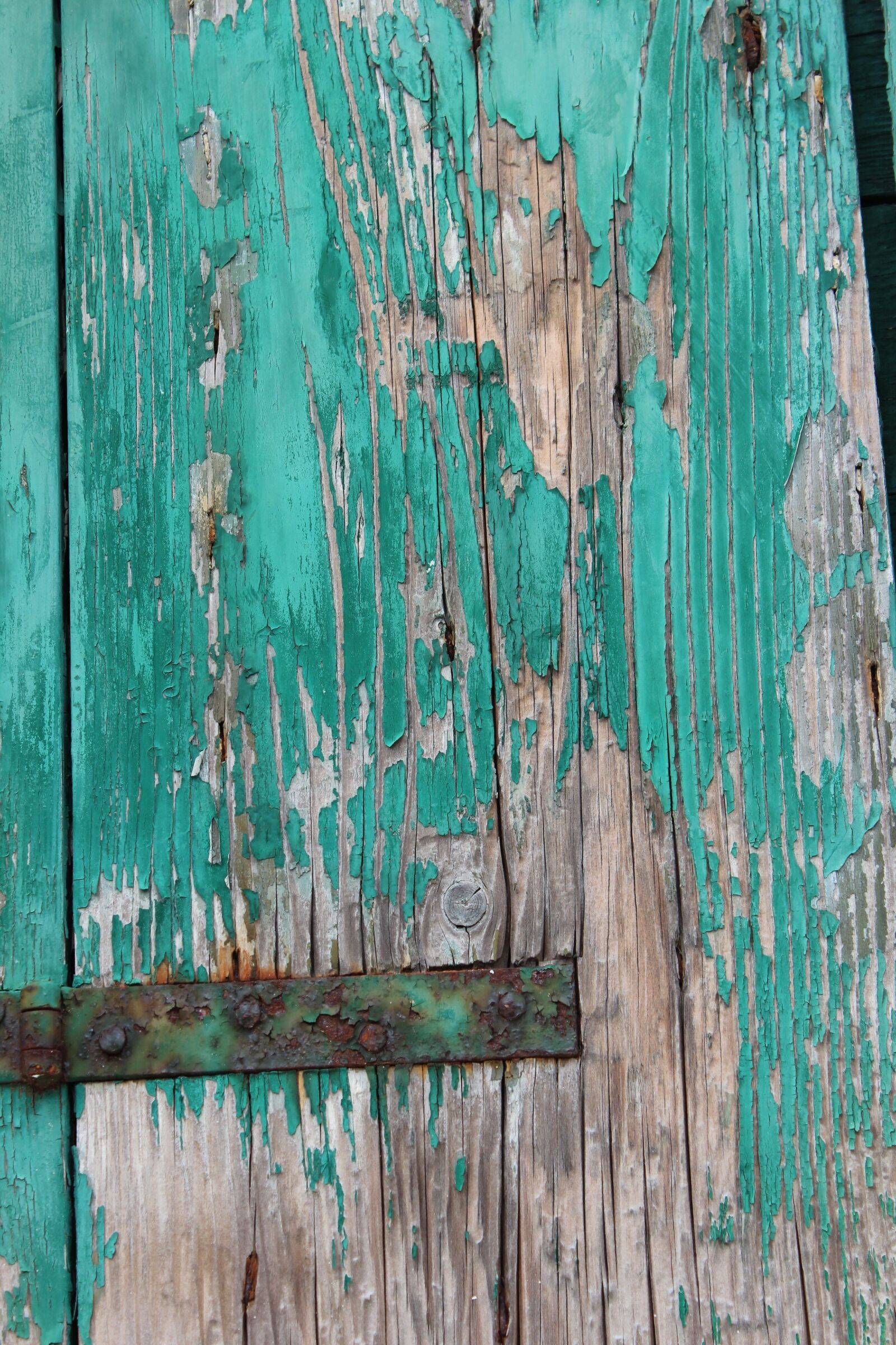Canon EOS 600D (Rebel EOS T3i / EOS Kiss X5) sample photo. Wood, distressed, texture photography