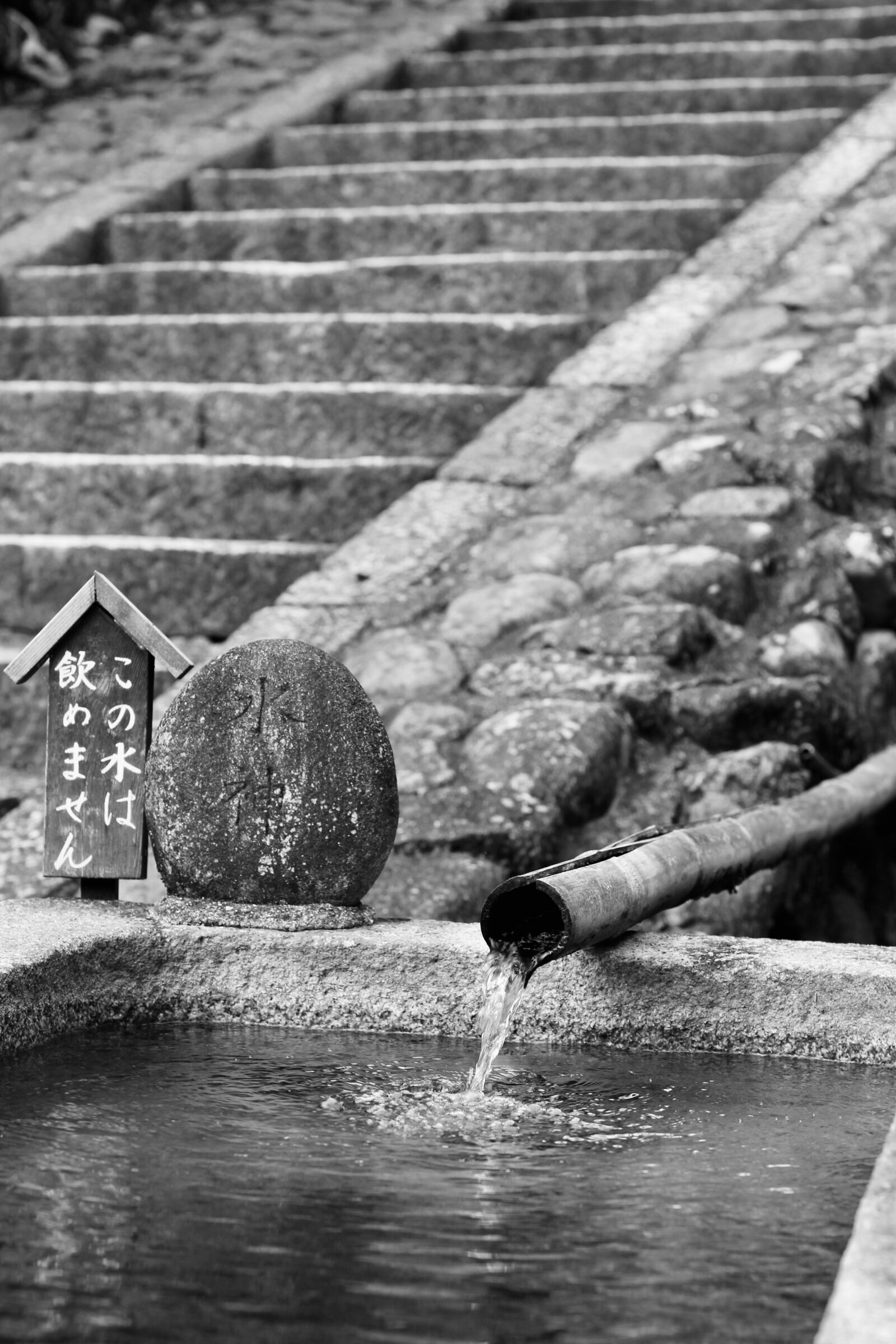 Canon EOS 600D (Rebel EOS T3i / EOS Kiss X5) + Canon EF 50mm F1.4 USM sample photo. Japan, temple, stairs photography