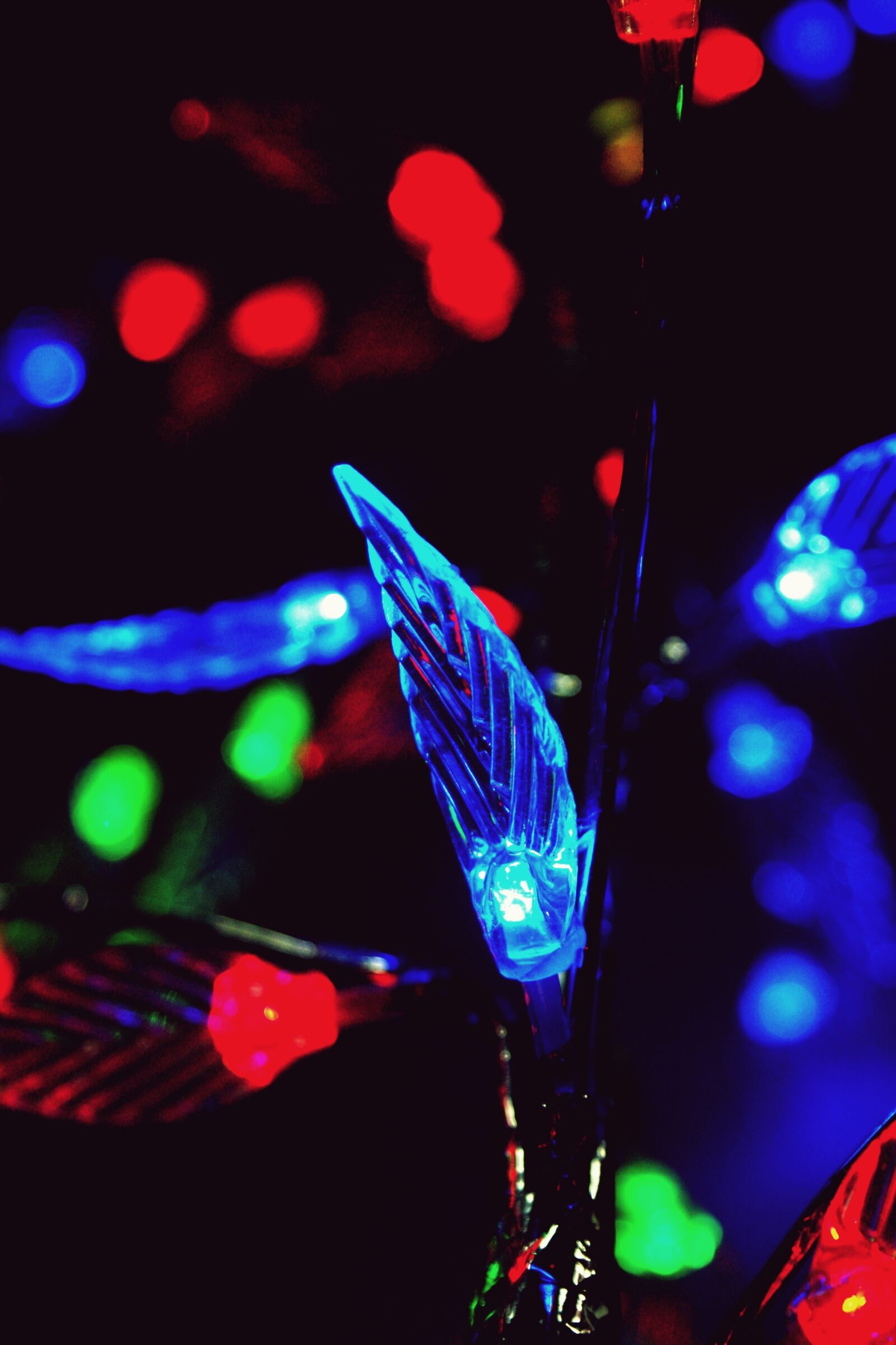 Sony Alpha DSLR-A350 sample photo. Lights, blue, red photography