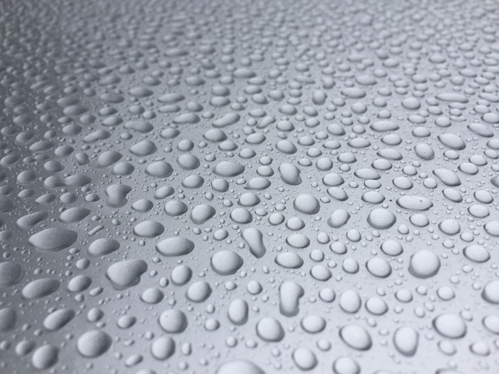 Apple iPhone 6 sample photo. Abstract, rain drops, water photography