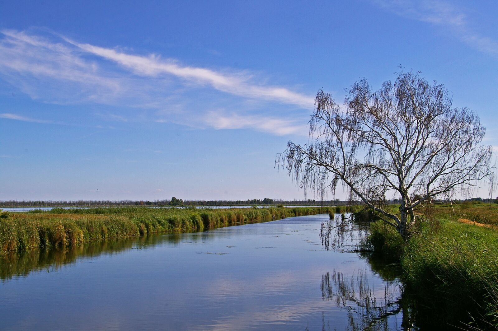 Pentax *ist DL2 sample photo. Nature reserve, kamp, landscape photography
