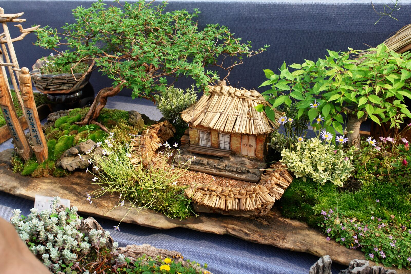 Sony DSC-R1 sample photo. Thatch roofed hose, flower photography