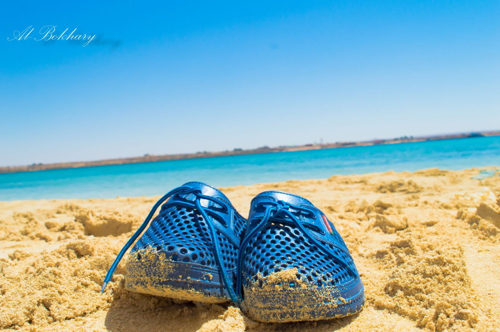 Nikon D3200 sample photo