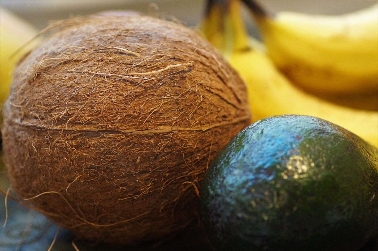 Sony SLT-A58 sample photo. Coconut, walnut, tropical photography
