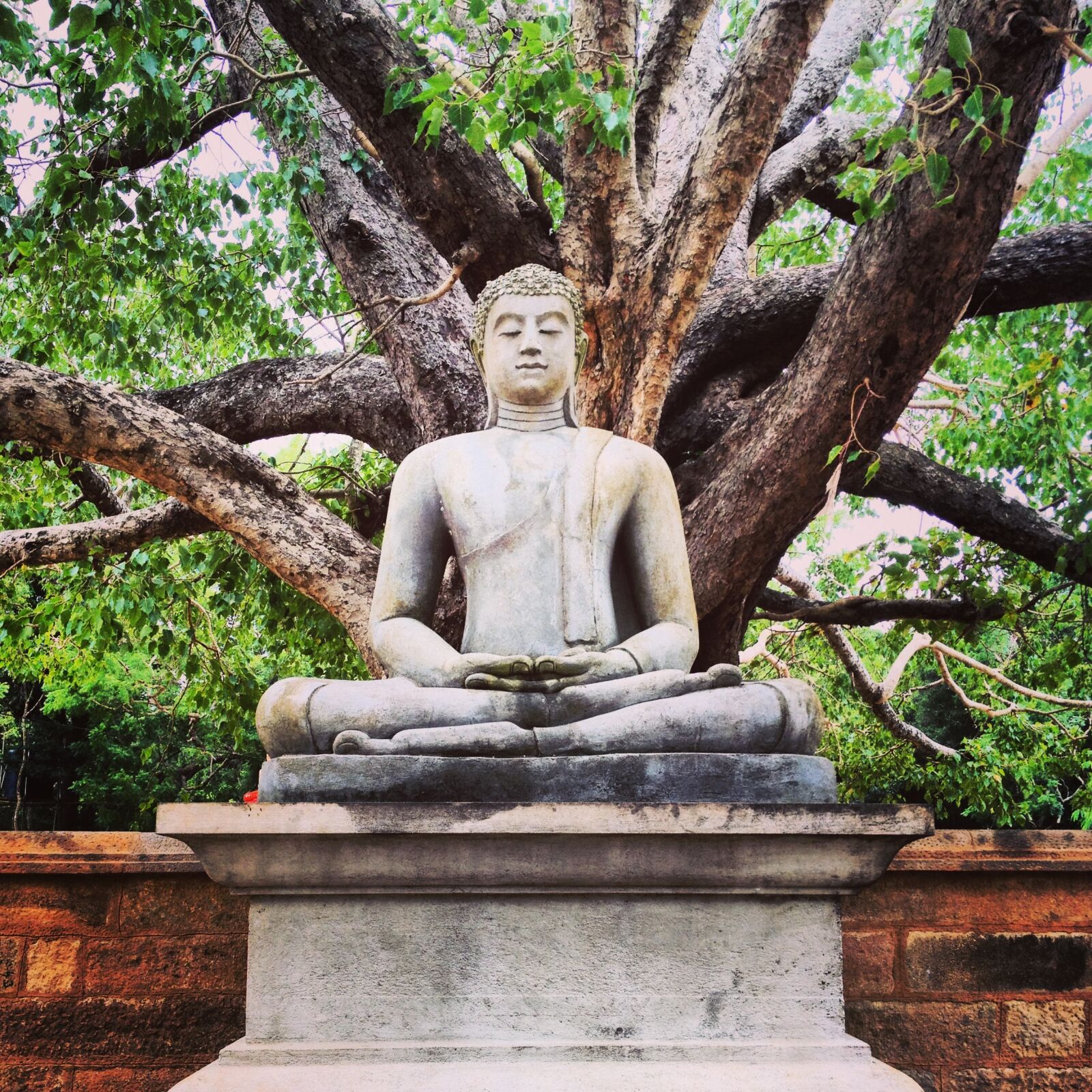 iPhone 4S back camera 4.28mm f/2.4 sample photo. Buddha, sri lanka, culture photography