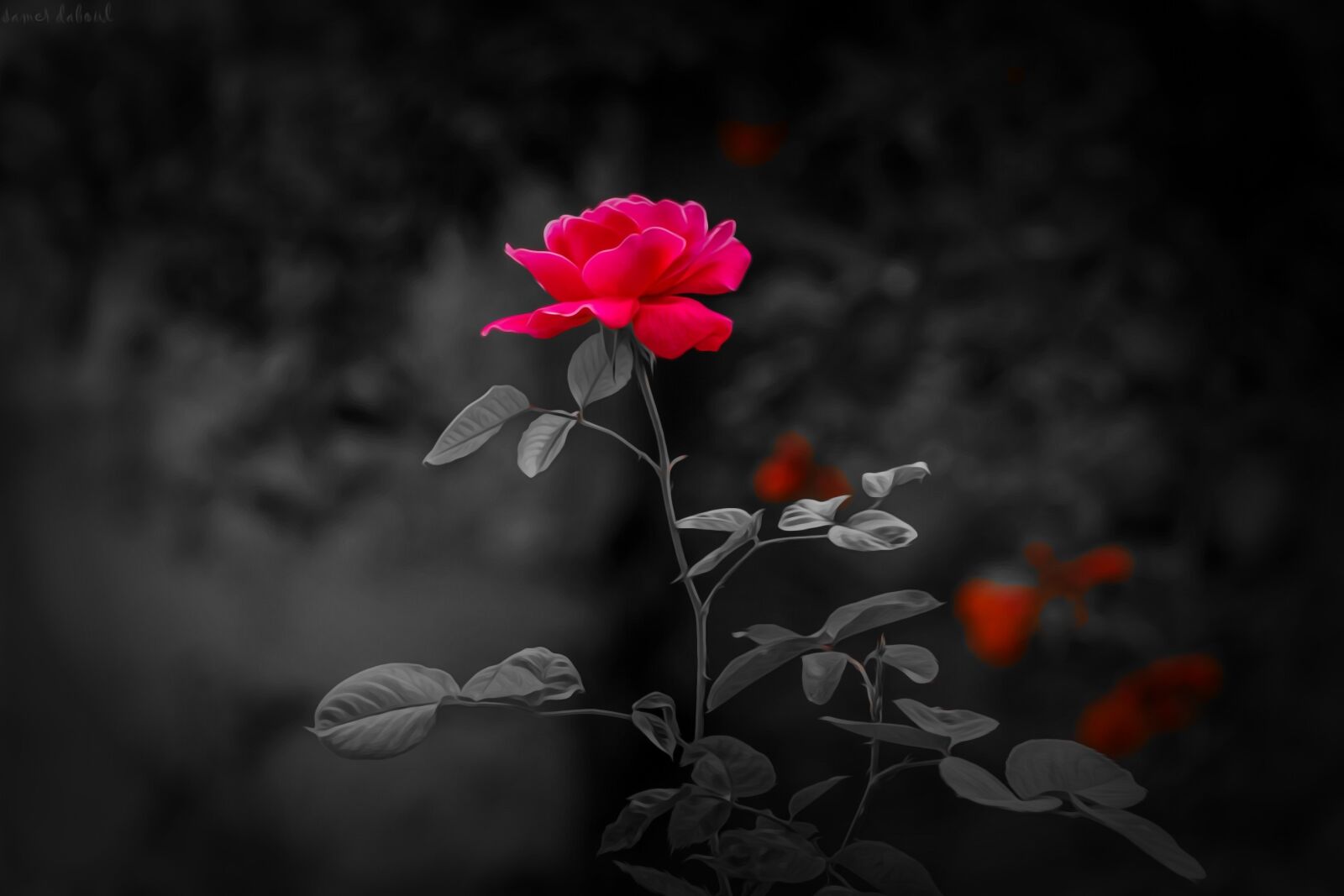 Canon EOS 700D (EOS Rebel T5i / EOS Kiss X7i) sample photo. Nature, flower, flora photography