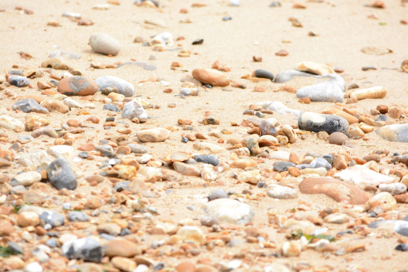 Nikon D5200 sample photo. Black and white, beach photography