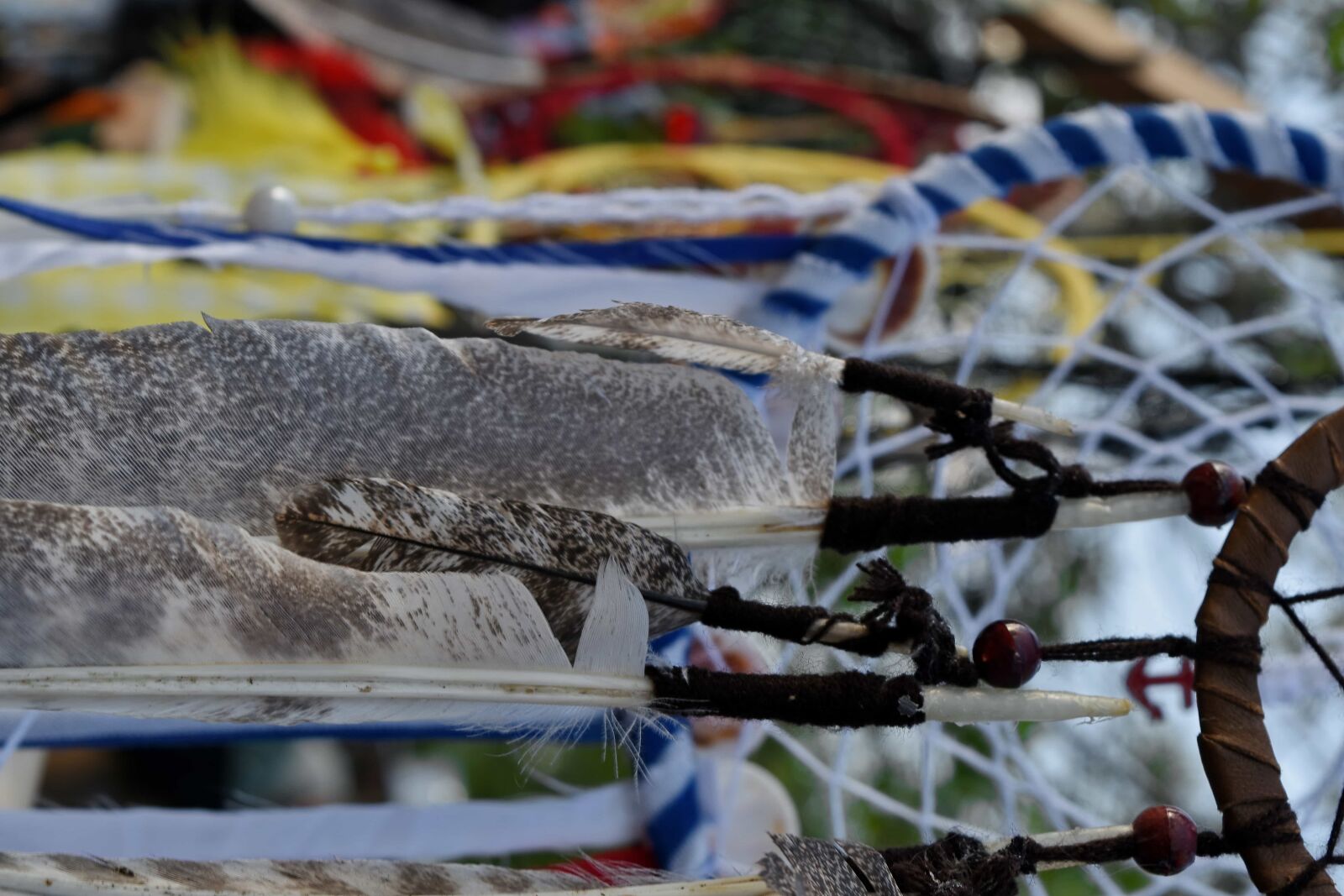 Nikon D5500 sample photo. Decoration, object, pearl, outdoors photography