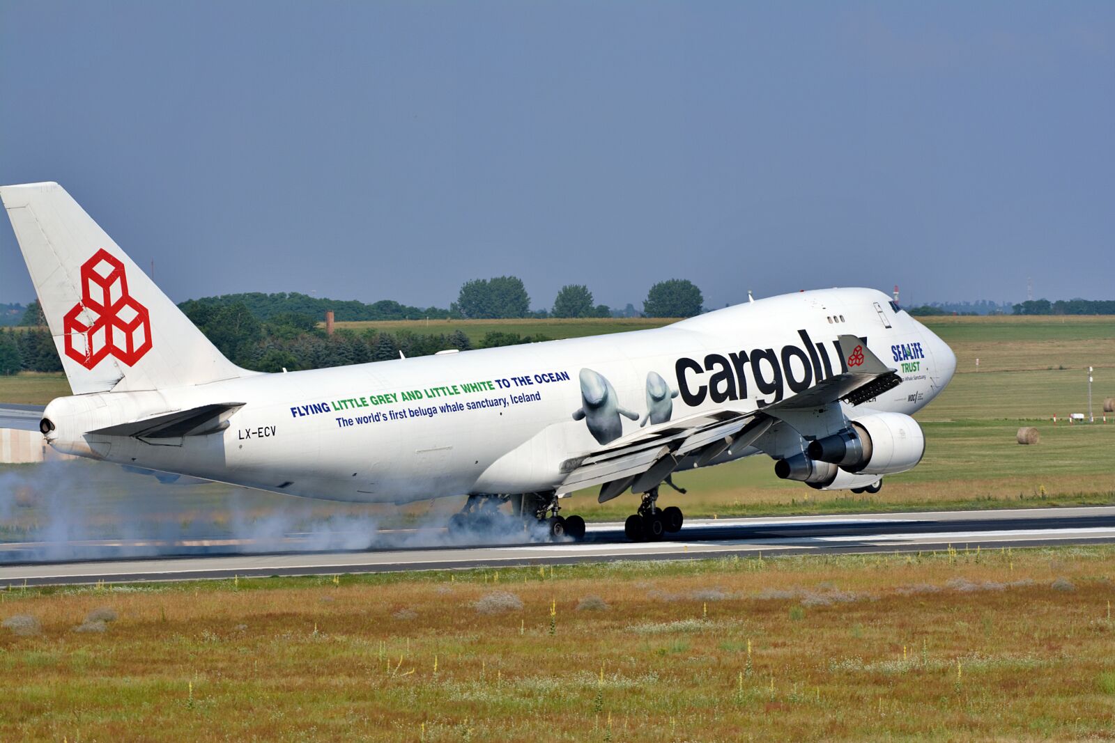 Nikon D5200 sample photo. Aircraft, flight, transport photography