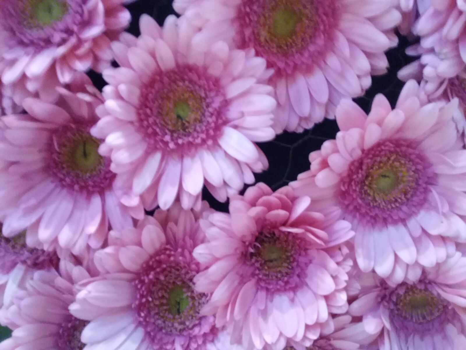 Samsung Galaxy J3(2016) sample photo