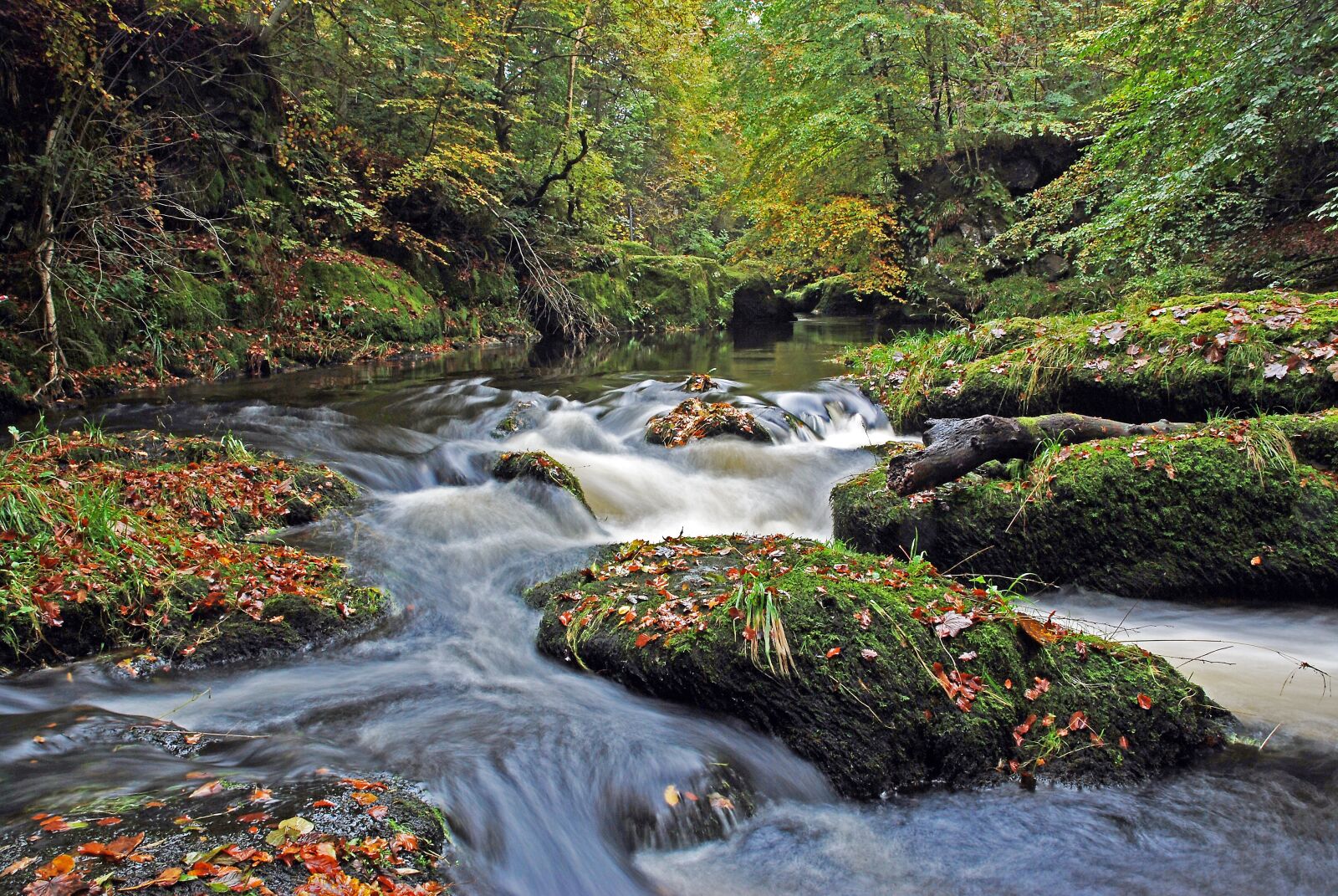 Nikon D80 sample photo. Scotland, river, water photography