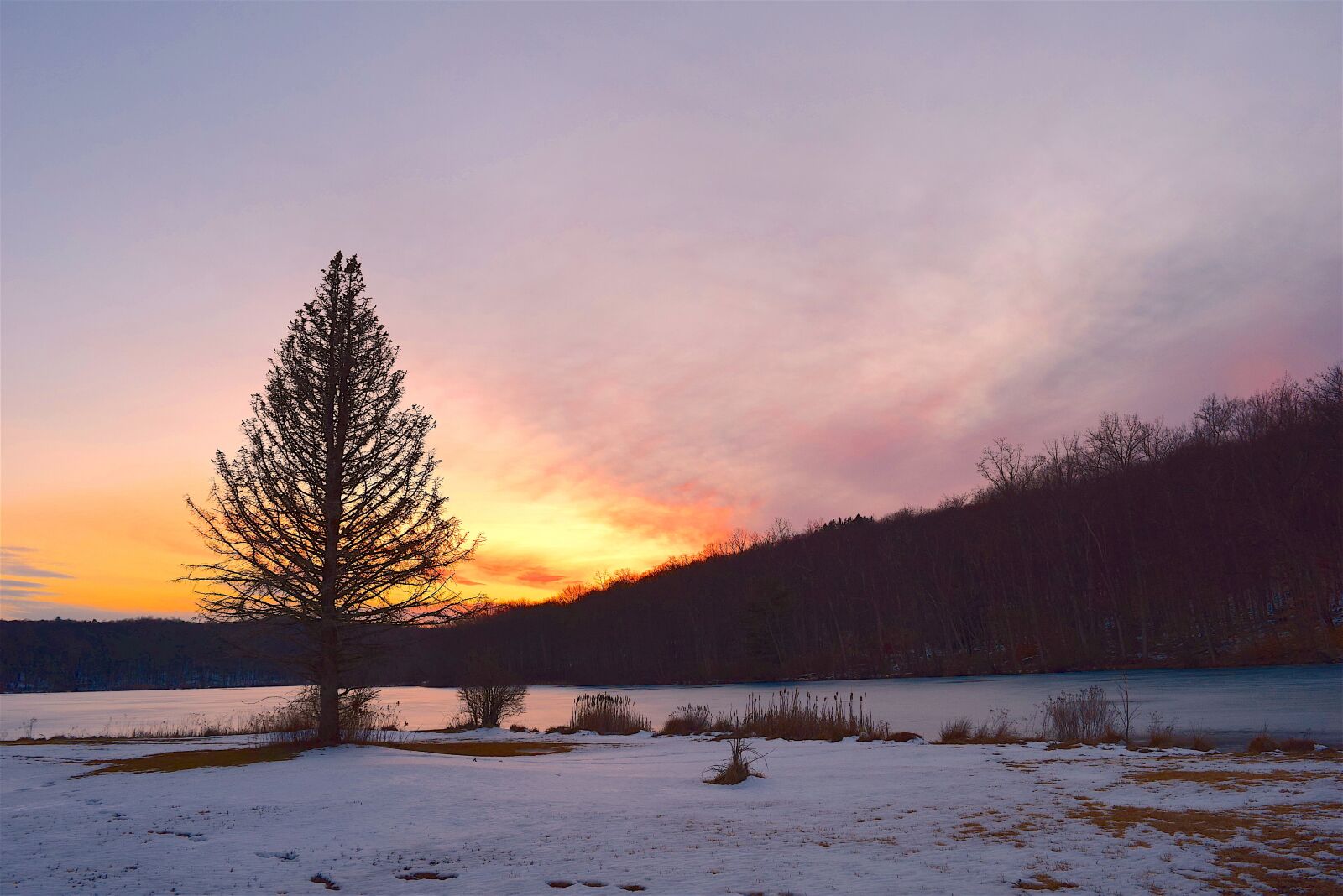 Nikon D3300 sample photo. Sunset, lake, tree photography