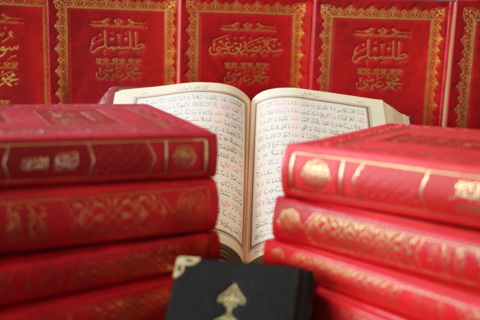 Canon EOS 750D (EOS Rebel T6i / EOS Kiss X8i) sample photo. Risale, quran, worship photography