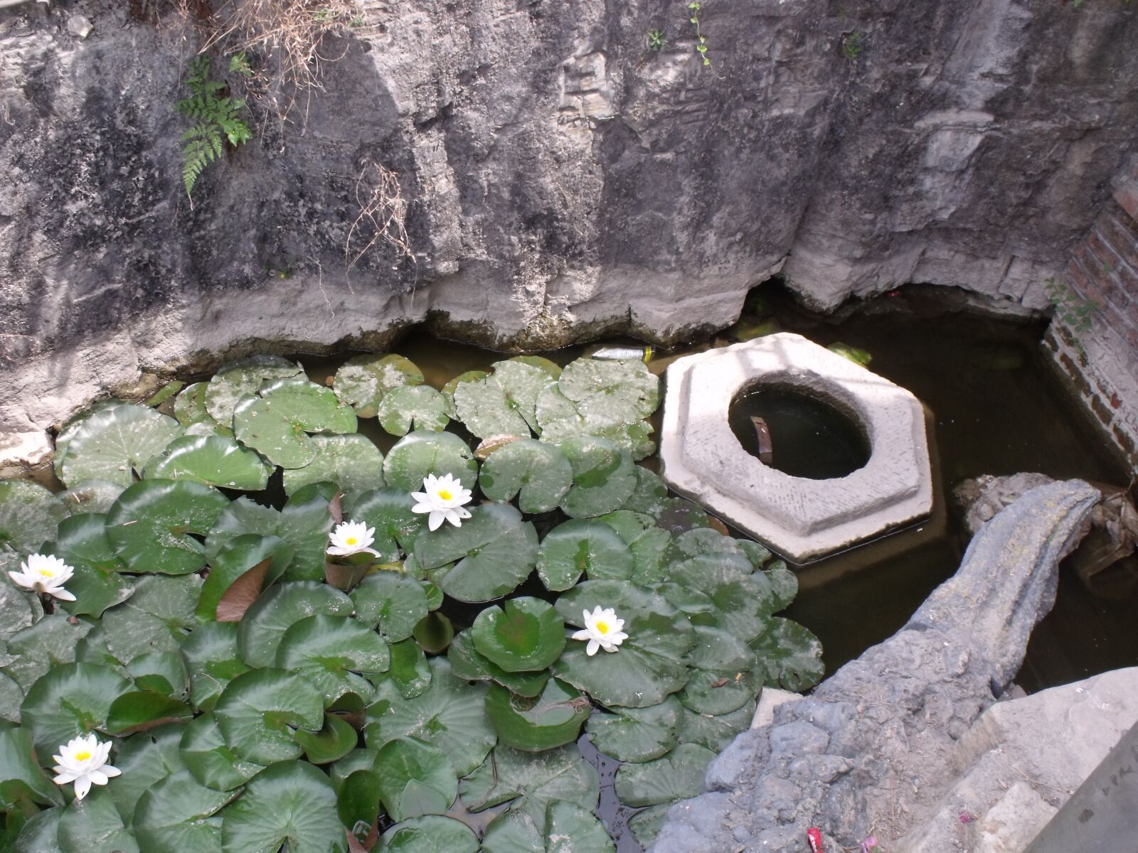 Fujifilm FinePix S1500 sample photo. Xiahe, ancient well, pond photography