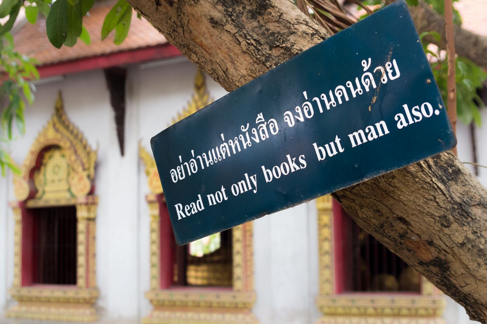Canon EOS 600D (Rebel EOS T3i / EOS Kiss X5) sample photo. Buddhism, thailand, proverb photography