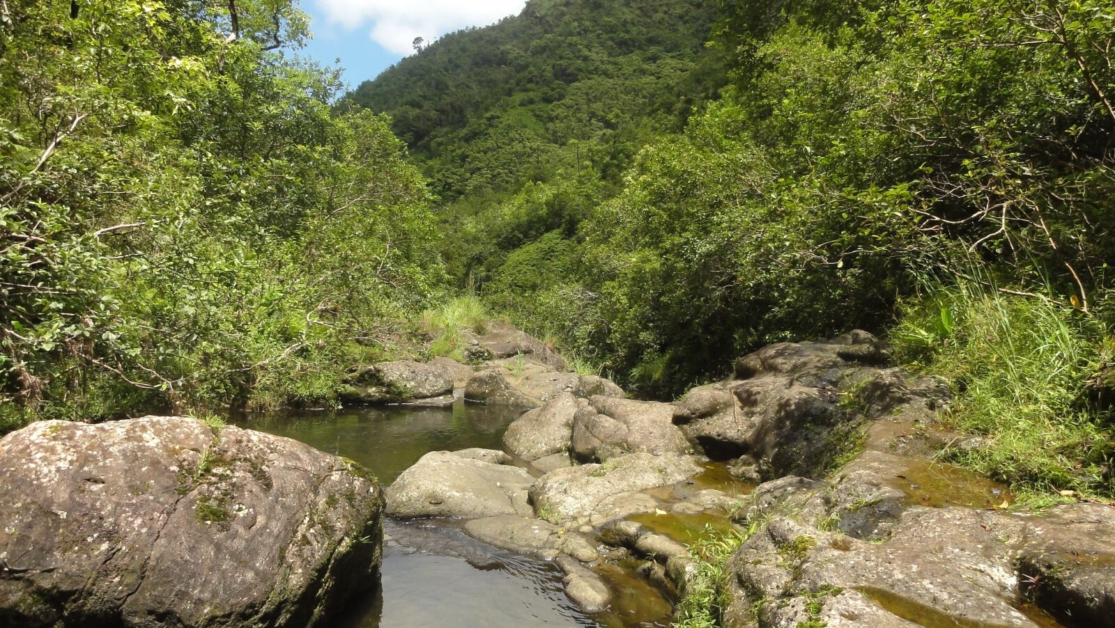Sony DSC-HX5V sample photo. Kauai, jungle, island photography