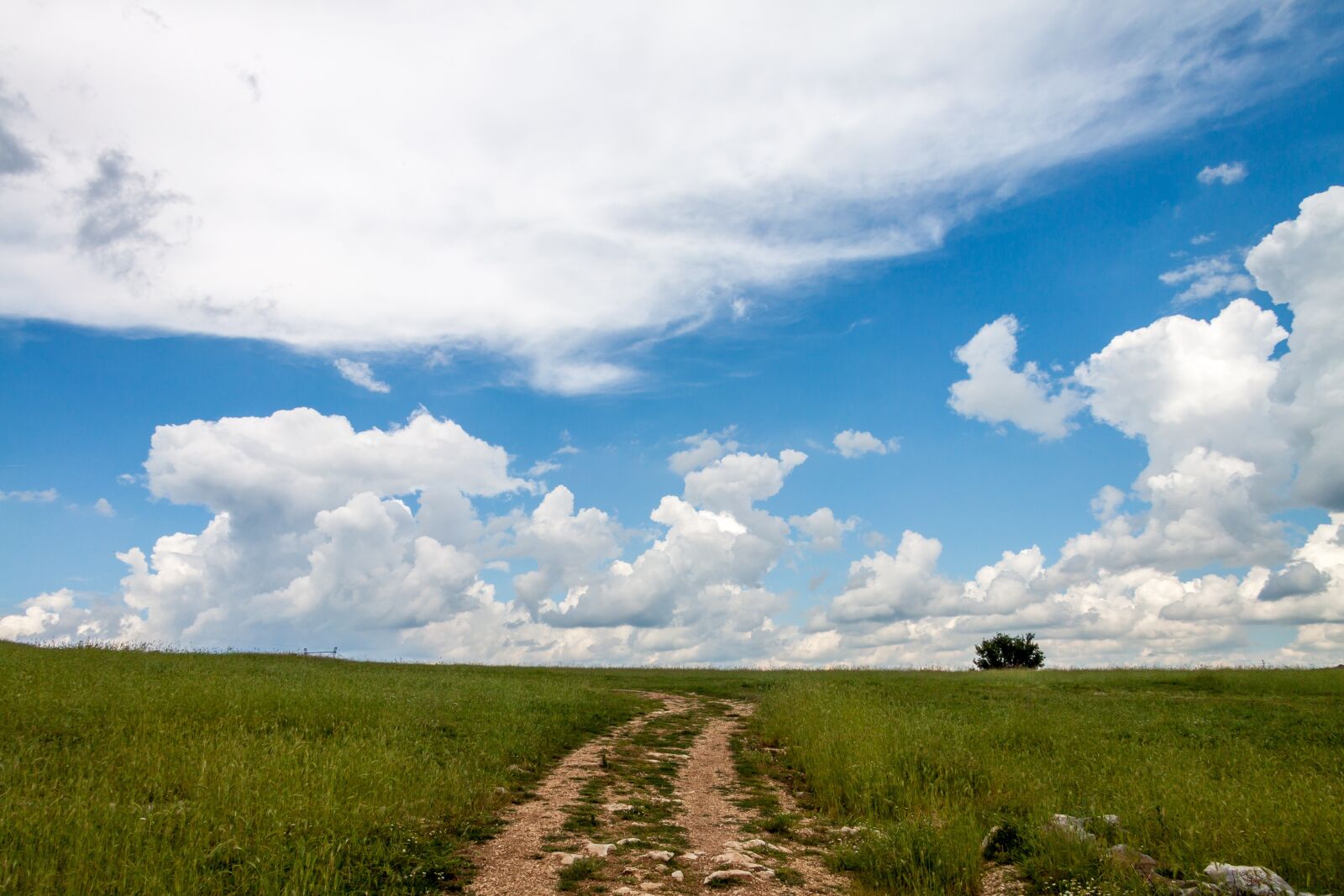 Canon EF-S 17-85mm F4-5.6 IS USM sample photo. Sky, clouds, nature photography