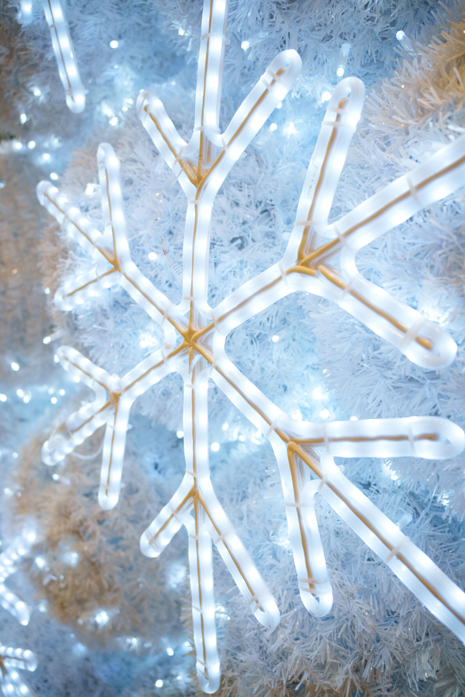 Samyang Remaster Slim 28mm F3.5 sample photo. Christmas decoration photography
