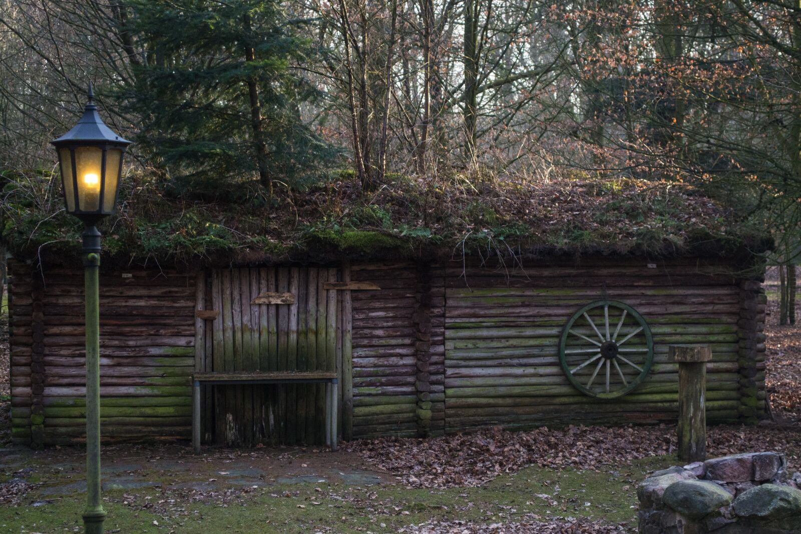 Nikon D3100 sample photo. Wood, house, wooden photography