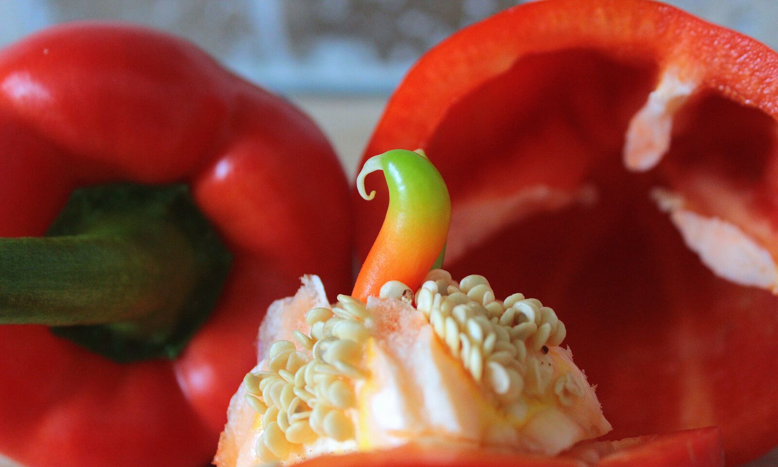 Canon EOS 650D (EOS Rebel T4i / EOS Kiss X6i) sample photo. Paprika, peppers, vegetables photography