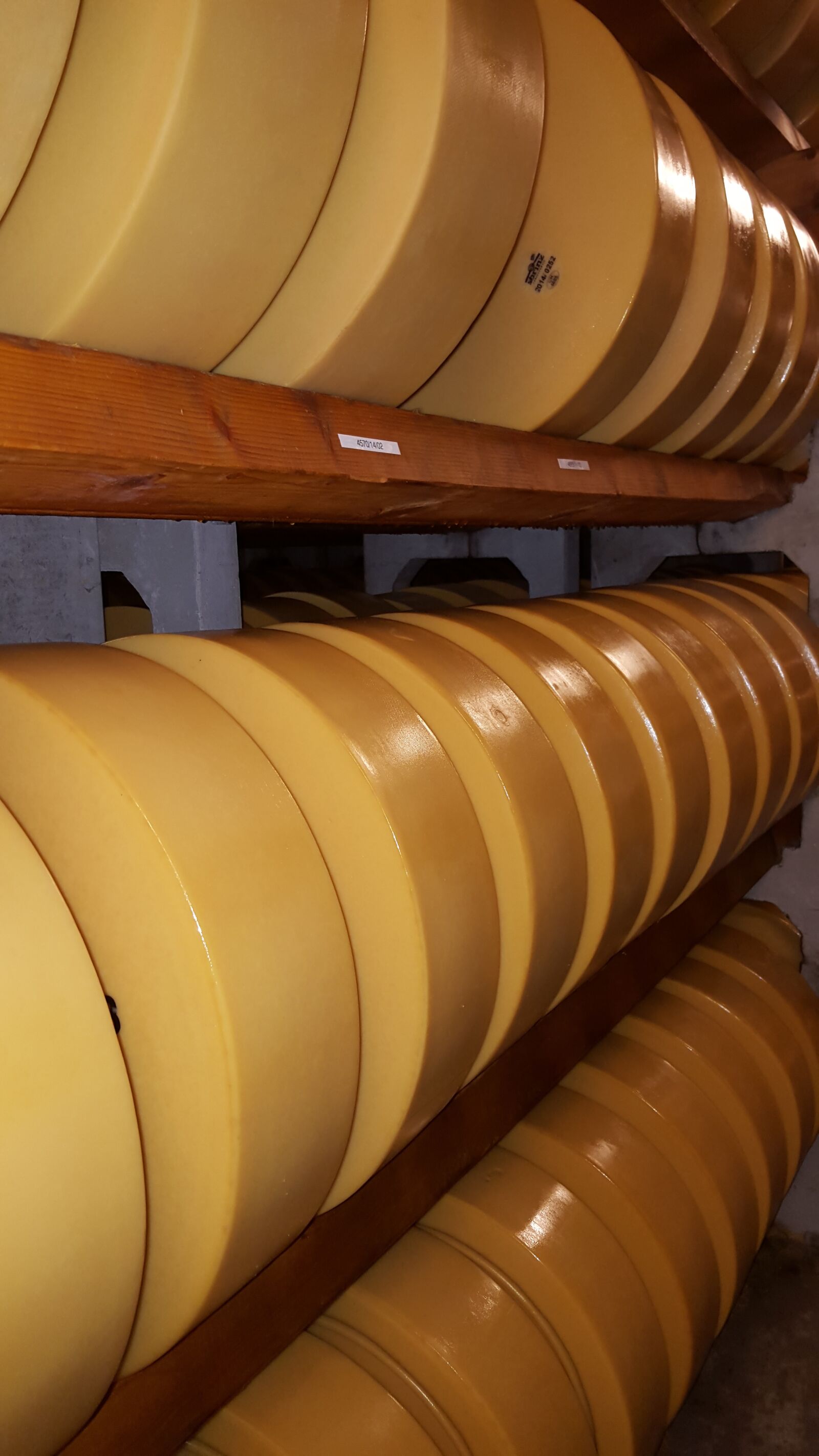 Samsung Galaxy S6 sample photo. Cheese, mature, stock photography