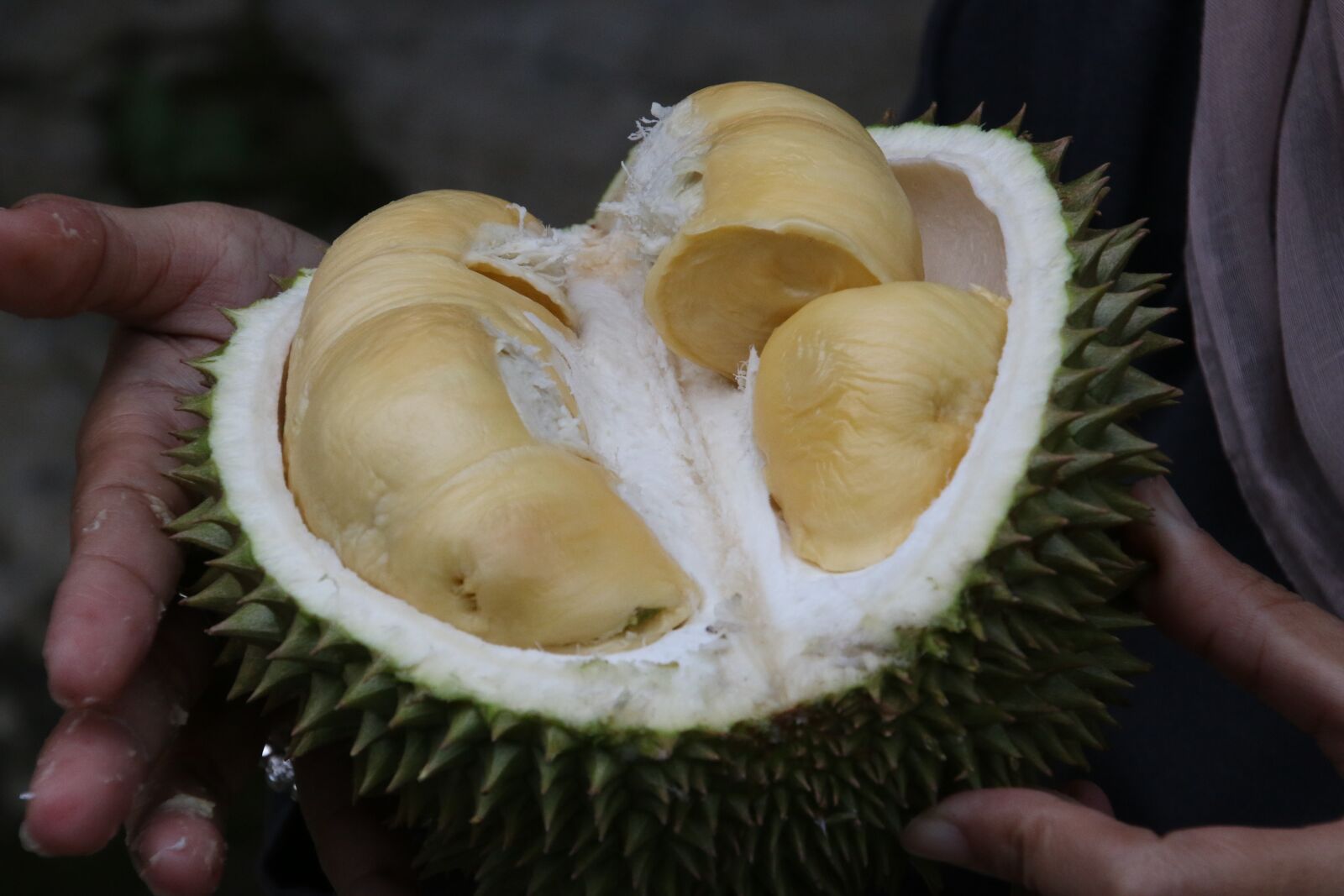 Canon EOS 70D sample photo. Durian, king of fruit photography