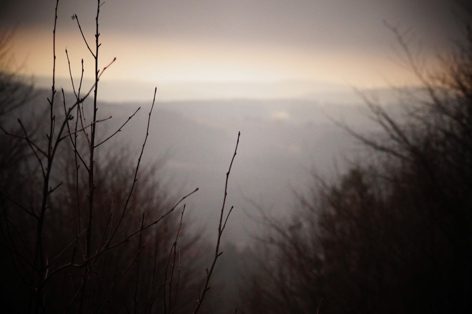 Sony SLT-A58 + Sony DT 55-200mm F4-5.6 SAM sample photo. Winter, fog, landscape photography