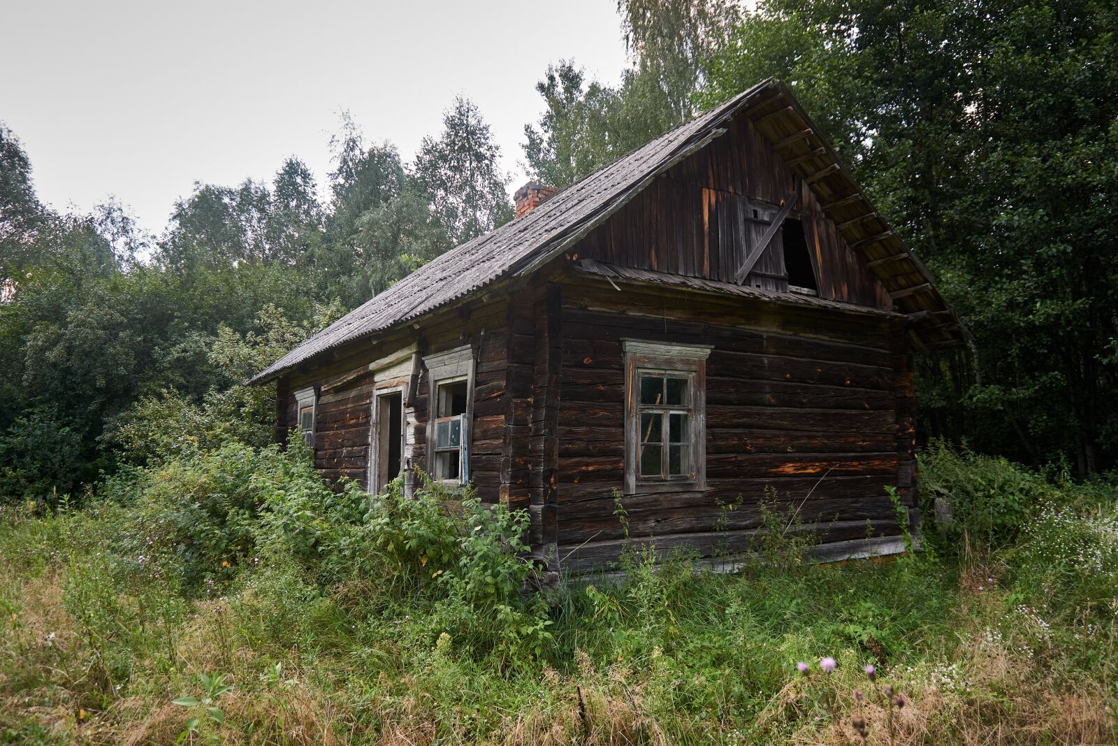 Sony a6000 + Sony E PZ 16-50 mm F3.5-5.6 OSS (SELP1650) sample photo. Belarus, abandoned, village photography