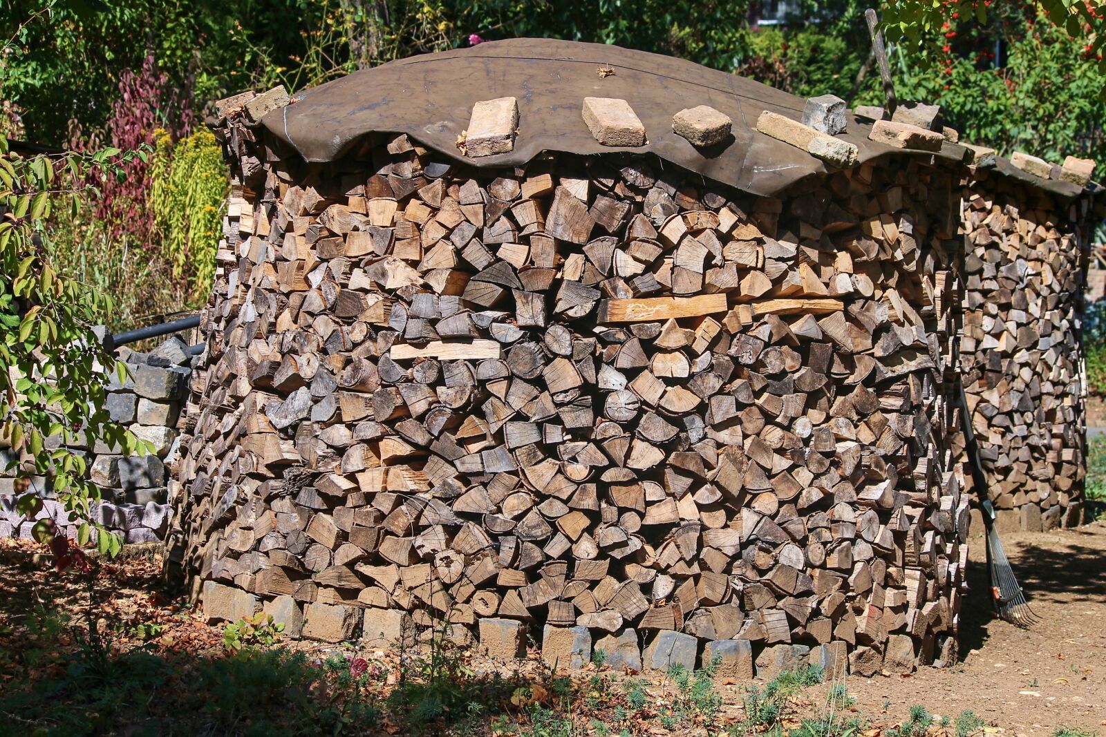 Canon EOS 1100D (EOS Rebel T3 / EOS Kiss X50) sample photo. Holzstapel, firewood, wood photography
