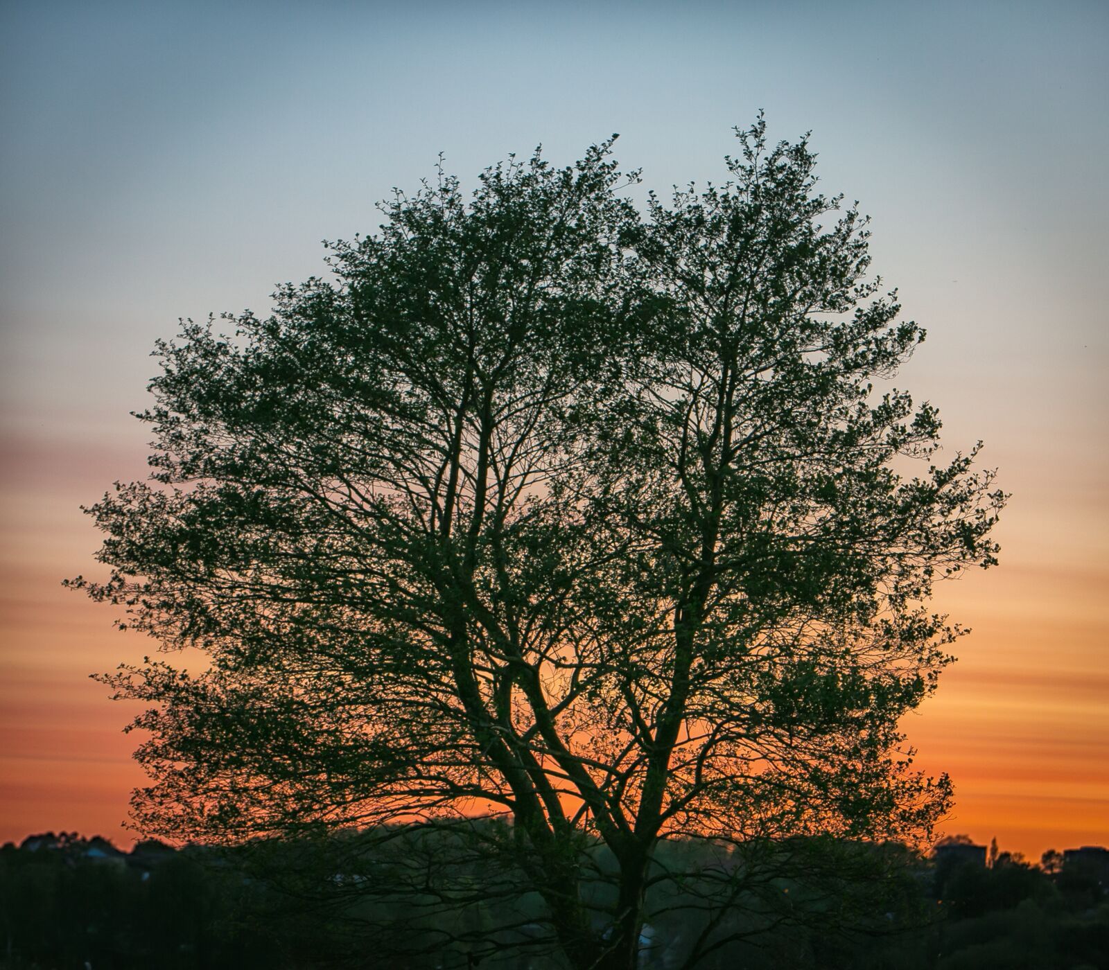 Canon EF 70-200mm F2.8L IS USM sample photo. Sunset, evening, orange photography